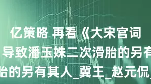 亿策略 再看《大宋宫词》才发现：导致潘玉姝二次滑胎的另有其人_冀王_赵元侃_胎儿